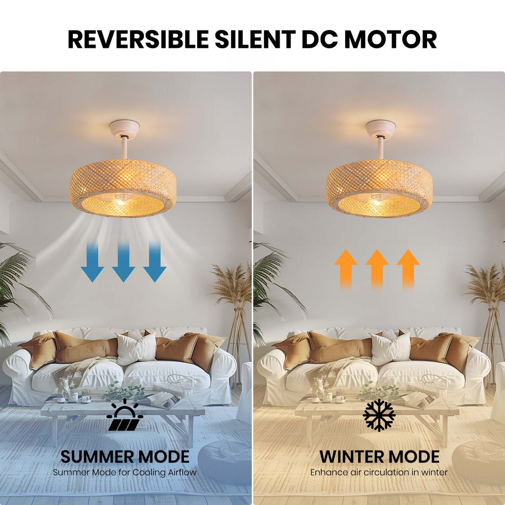 20'' Boho Caged Ceiling Fan with Light Kit, Remote Control and Handmade Frame With Aged Metal
