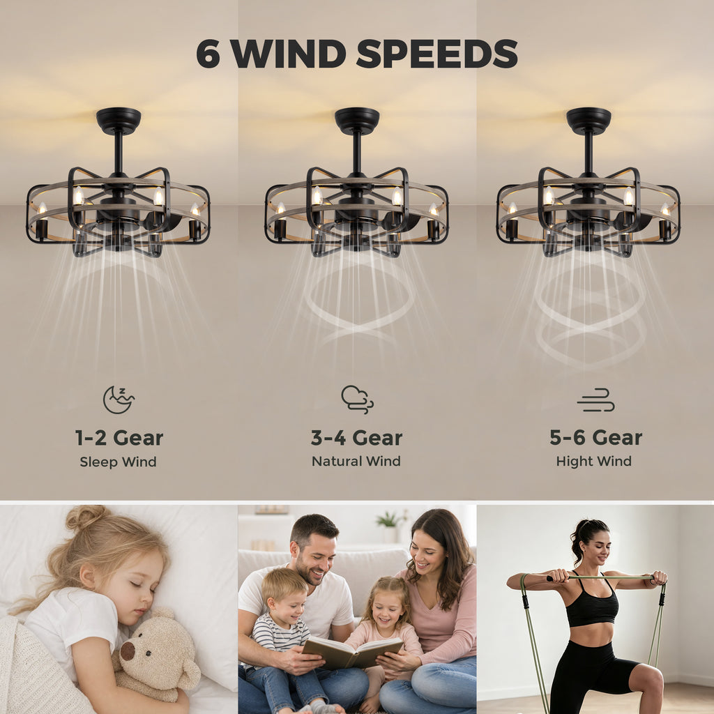 25 in. Modern Indoor Black Cage Ceiling Fan with Lights Reversible Rotation and Remote Control