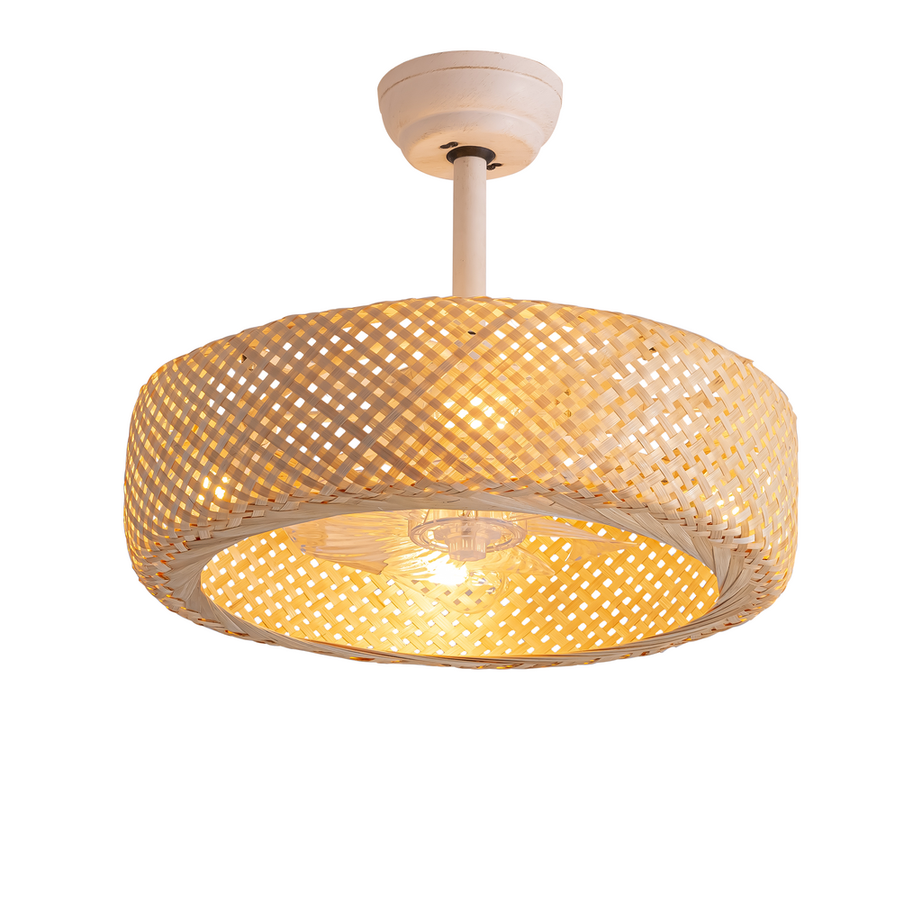 20'' Boho Caged Ceiling Fan with Light Kit, Remote Control and Handmade Frame With Aged Metal