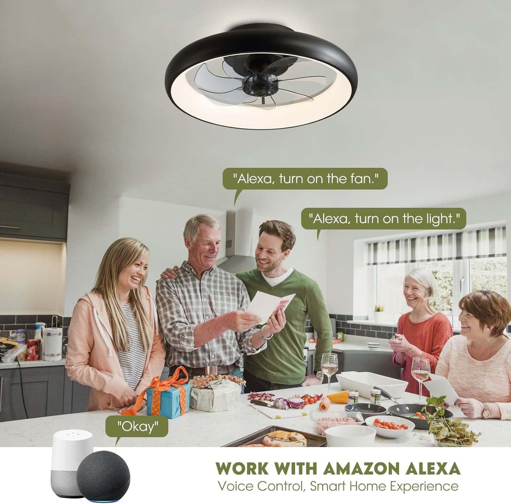 20 in. Modern Indoor Black Low Profile Ceiling Fan with Lights Reversible Rotation and Remote Control