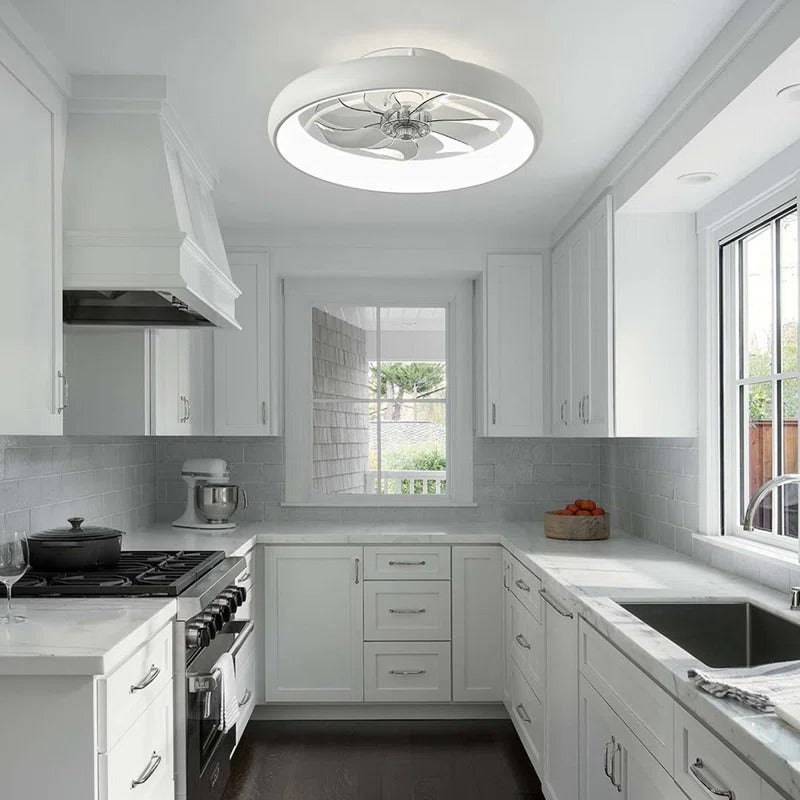 20'' Dianeshia Flush Mount Dimmable Ceiling Fan with LED Lights